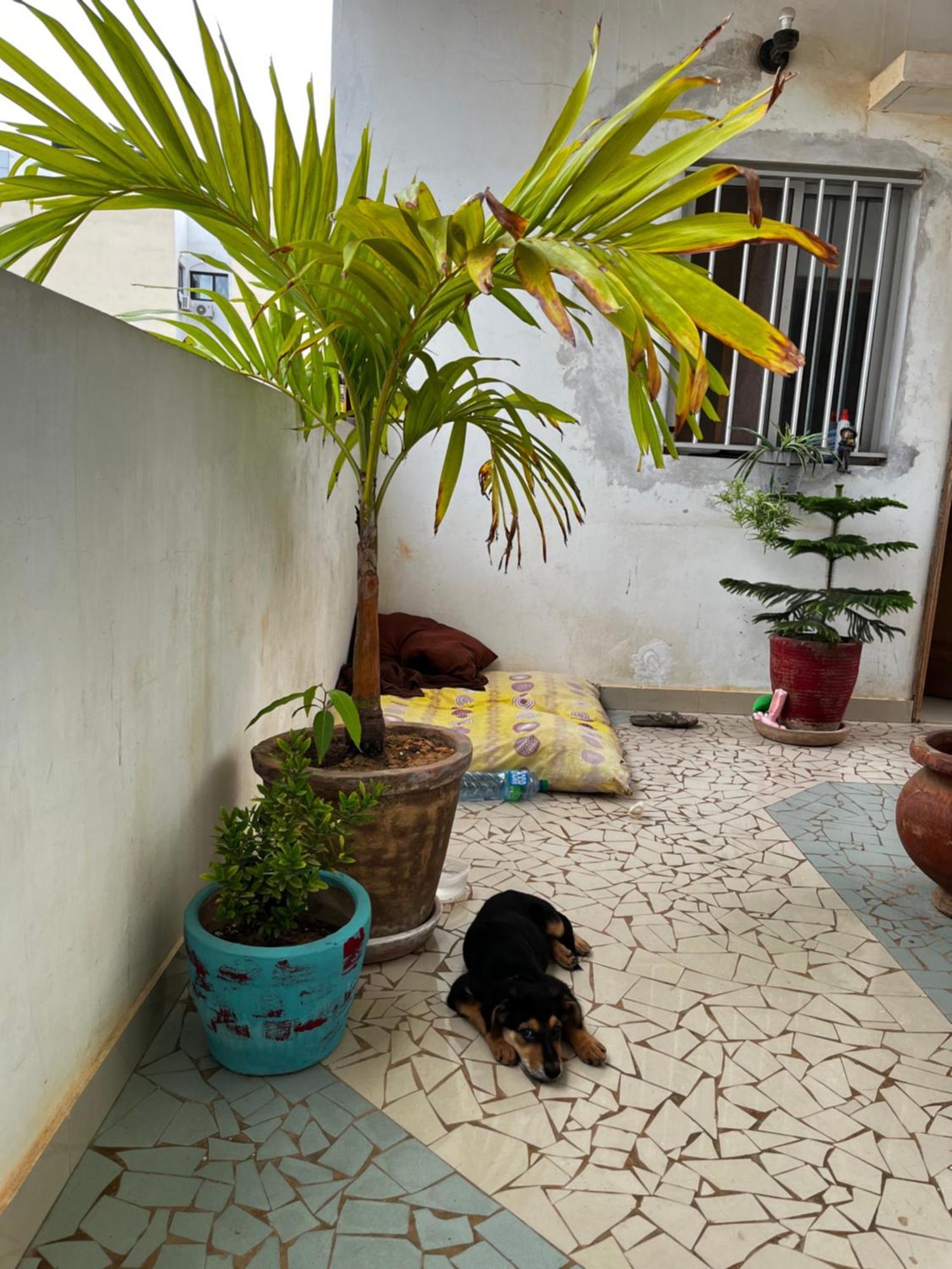 Like At Home Dakar Dış mekan fotoğraf